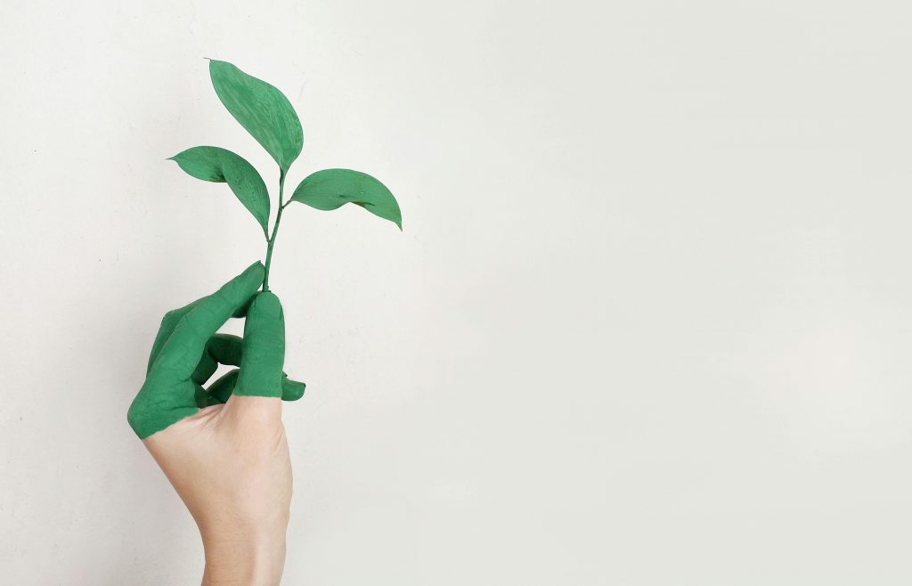 RIF luminaires eco responsables